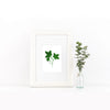 Alpha Phi Art Print