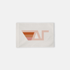 Delta Gamma Blush Retro Stripes Greek Letter Flag