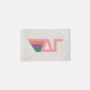Delta Gamma Watermelon Retro Stripes Greek Letter Flag