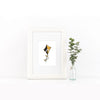 Kappa Alpha Theta Art Print