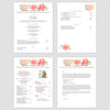 From top left (clockwise) 1st page of multi-page resume, 2nd page of multi-page resume, Single-page resume, Cover letter