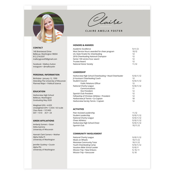 Fog Multi-page resume (1st page) template