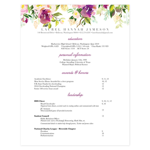 Multi-page resume (1st page) template