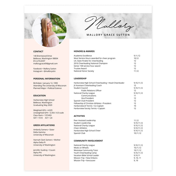 Blush Multi-page resume (1st page) template