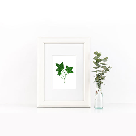 Alpha Phi Art Print | Greek Art Print | Greek Gifts  SororityPackets.com