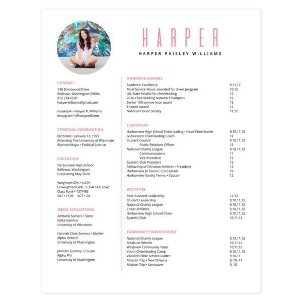 Strawberry Multi-page resume (1st page) template